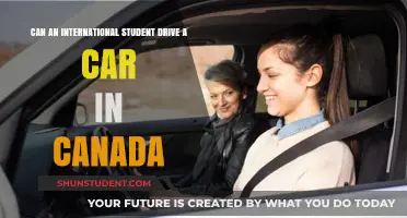 International Students Driving in Canada: What's the Deal?