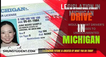 International Students Driving in Michigan: Is It Allowed?