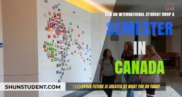 International Students in Canada: Can You Drop a Semester?