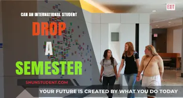 International Students: Dropping a Semester Explained