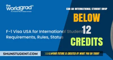 Staying Afloat: Credit Rules for International Students