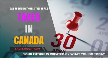 International Students: Filing Canadian Taxes