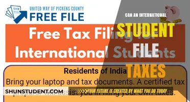 International Students: File Taxes the Right Way