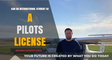 International Students: Get Your Pilot's License?