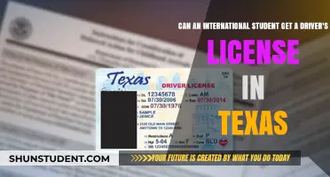 How International Students Can Get a Texas Driver's License