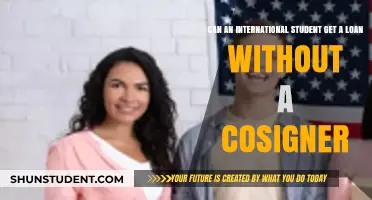 International Students: Loans Without a Cosigner?
