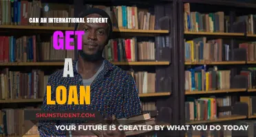 International Student Loans: Possibility or Myth?
