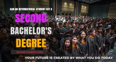 Pursuing a Second Bachelor's: Options for International Students