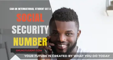 How International Students Can Get a Social Security Number