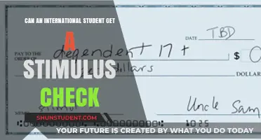 Stimulus Checks for International Students: Who's Eligible?