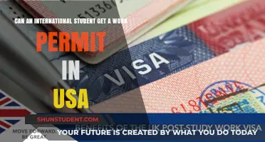 Work Permits for International Students in the USA