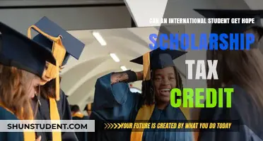 International Students: Hope Scholarship Tax Credit Eligibility