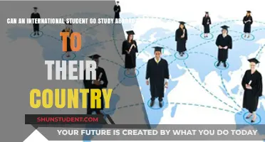 Study Abroad Twice: International Students' Options
