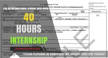 Internship Hours: International Students' Rights and Opportunities