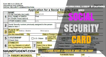 International Students in California: How to Get a Social Security Card?
