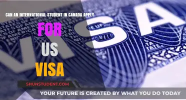 International Students in Canada: Can They Get a US Visa?
