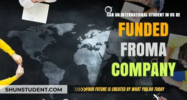 International Students: Company Funding in the US