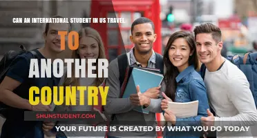 Exploring Travel Options: International Students in the US
