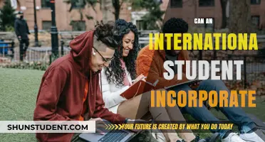 International Students: Can They Incorporate?
