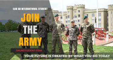 International Students Joining the Army: Is It Possible?