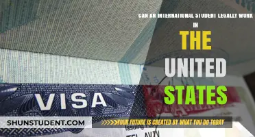International Students: Work Legally in the US?