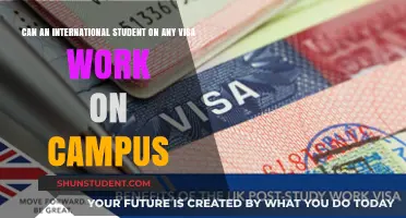 Working on Campus: Visa Options for International Students