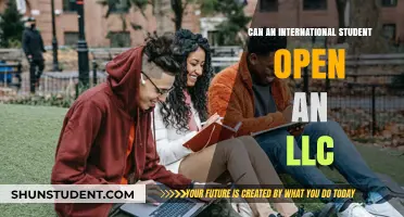 International Students: Can They Open an LLC?