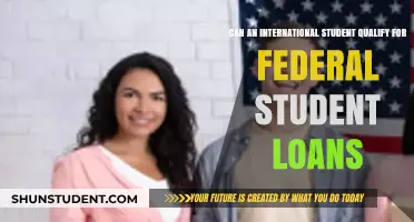 International Students: Eligibility for Federal Student Loans