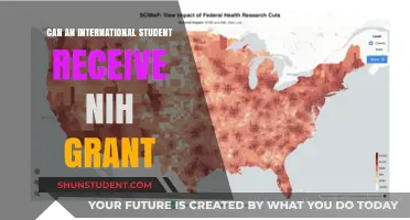 International Students and NIH Grants: Eligibility and Opportunities