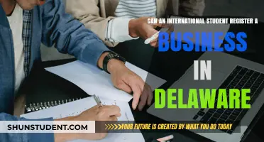 International Students: Starting a Delaware Business