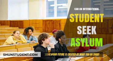 Asylum Options for International Students