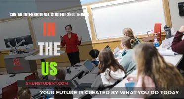 International Students: Can They Sell Things in the US?