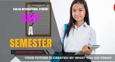 Skipping a Semester: Options for International Students