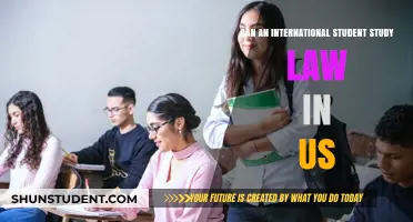 Study Law in the US as an International Student