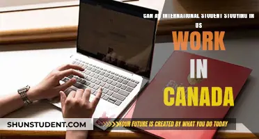 Working in Canada: Options for International Students in the US