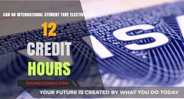 International Students: Exploring Electives and Credit Hours