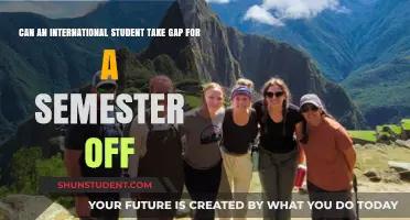 International Students: Taking a Semester Off?