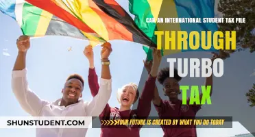 Turbo Tax for International Students: How to File Taxes