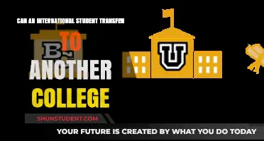 Transferring Colleges: Options for International Students
