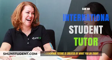International Student Tutoring: Is It Allowed?