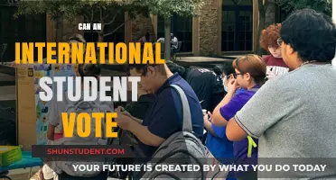 International Students and Voting: Who Can Vote?