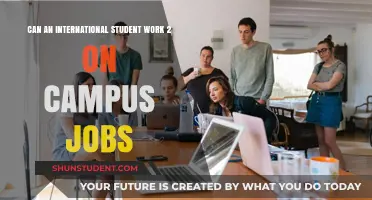 Working On-Campus: International Student's Guide to Multiple Jobs