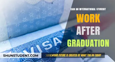 Work Options for International Students Post-Graduation