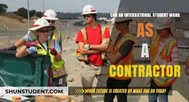 Working as a Contractor: Options for International Students