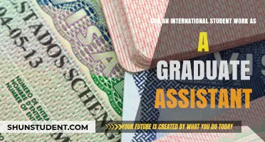 International Students: Working as a Graduate Assistant