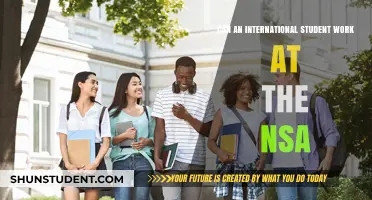 NSA Employment: International Students' Opportunities