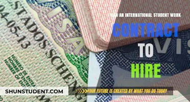 International Students: Work Contracts and Hiring