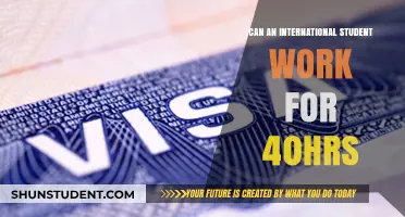 Working Full-Time as an International Student: Is It Possible?