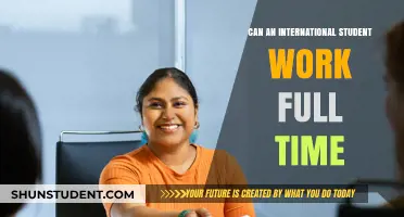 Working Full-Time as an International Student: Is It Possible?
