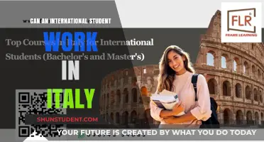 Work in Italy as an International Student?